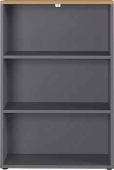 Aktenregal GW-Agenda