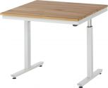 Werkbank RAU elektr. höhenverstellbar, belastbar bis 300 kg