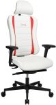 Gamingstuhl Sitness RS High Performance Profi TW3